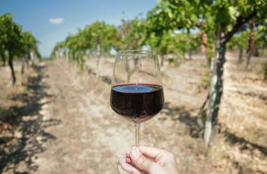 Private wine tasting tour from Sète
